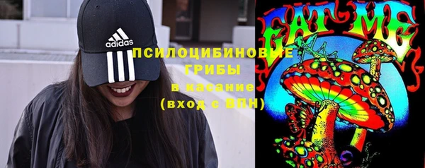 молекула духа Навашино