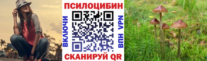 продажа наркотиков Киренск Галлюциногенные грибы мицелий